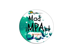 Mad iMPAct project logo